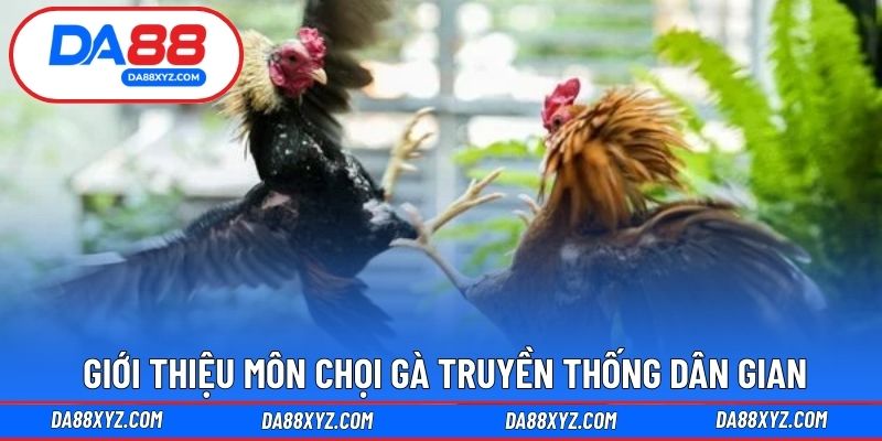 Giới thiệu môn chọi gà truyền thống dân gian