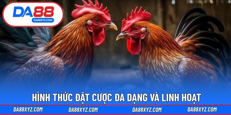 Hình thức đặt cược đa dạng và linh hoạt