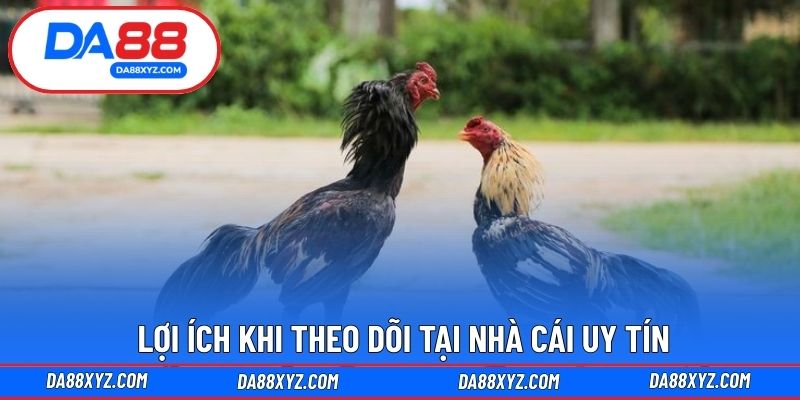 Lợi ích khi theo dõi tại nhà cái uy tín